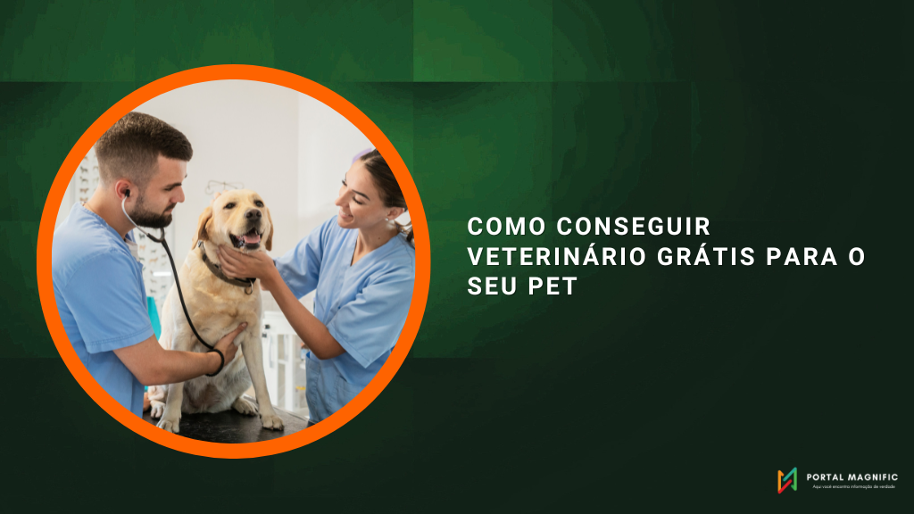 Como conseguir veterinário grátis para o seu pet