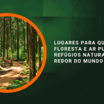 Lugares para Quem Ama Floresta e Ar Puro: Refúgios Naturais ao Redor do Mundo