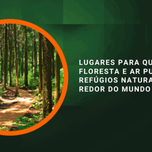 Lugares para Quem Ama Floresta e Ar Puro: Refúgios Naturais ao Redor do Mundo