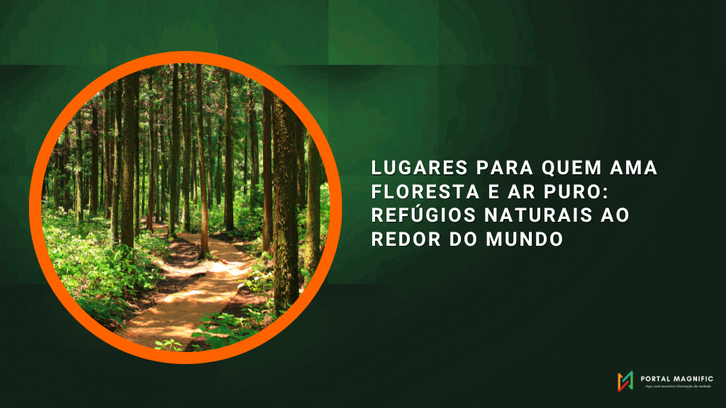 Lugares para Quem Ama Floresta e Ar Puro: Refúgios Naturais ao Redor do Mundo