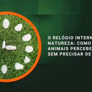 O relógio interno da natureza: como plantas e animais percebem o tempo sem precisar de horas